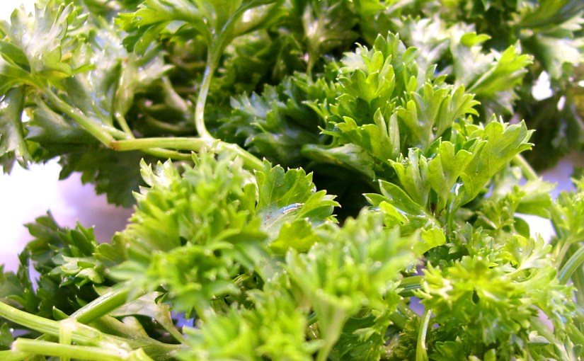 La pasta o sazón de&nbsp;verduras