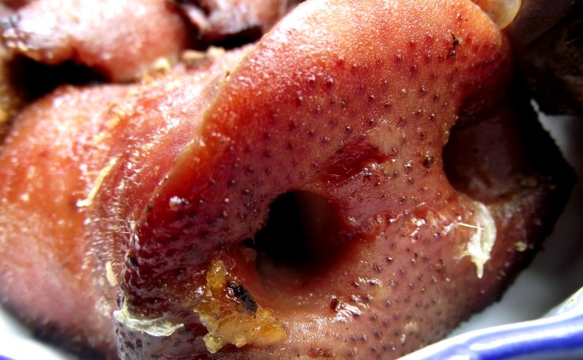 ¡Orejitas y hociquitos!