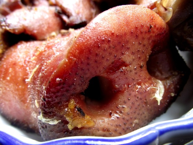 orejitas y hociquitos