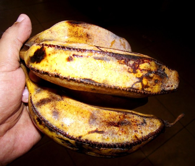 guineo manzano, rulo