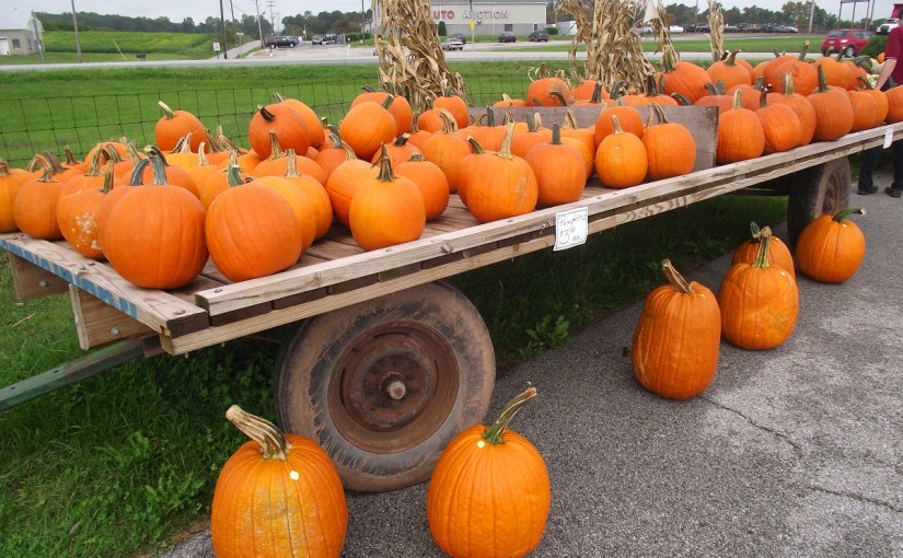 ¡Los mercados de&nbsp;granja!