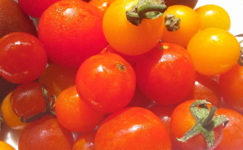 Eden Organic Vegetables – Vegetales del&nbsp;Paraíso