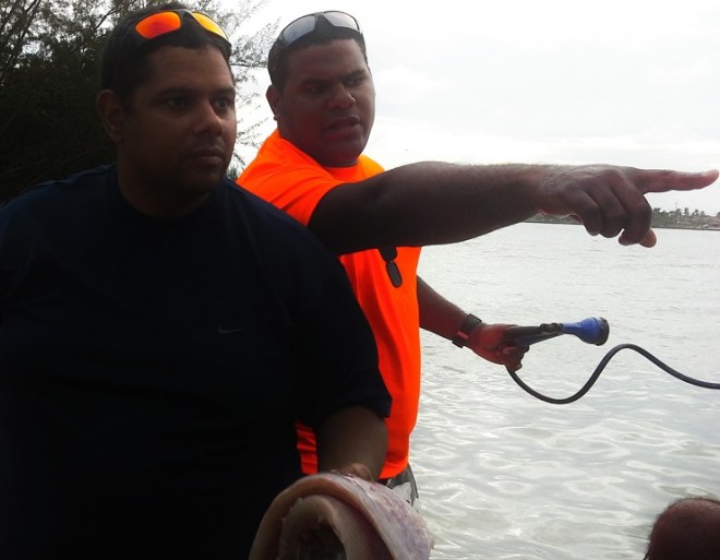 Preparándonos para sazonar